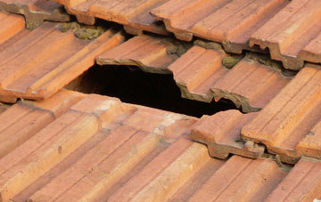 roof repair Princes Marsh, Hampshire