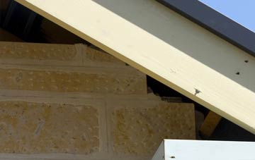 soffit repair Princes Marsh