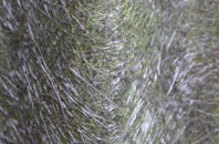 Princes Marsh fibreglass roof work